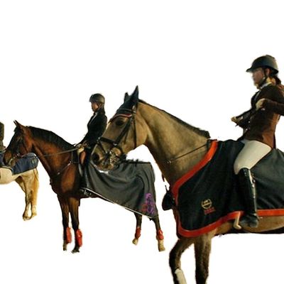 อาคารโครงสร้างเหล็กเบาสำหรับสนามขี่ม้าในร่ม