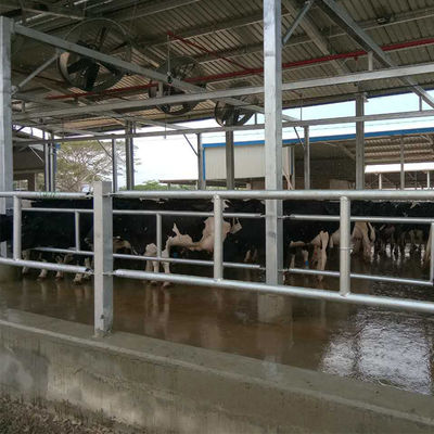 โครงสร้างสแตนเลส Precast โครงสร้างพื้นที่โครงสร้างฟาร์มไก่