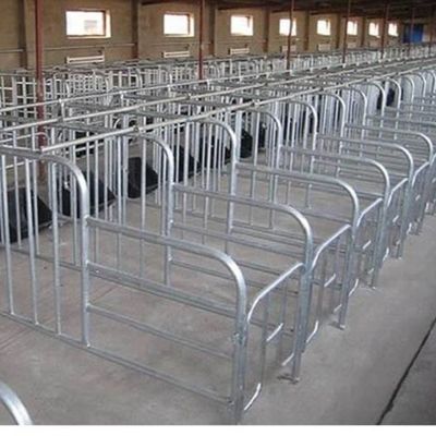 โรงเรือนไก่โครงสร้างเหล็กแบบกำหนดเอง พร้อมติดตั้งรวดเร็ว